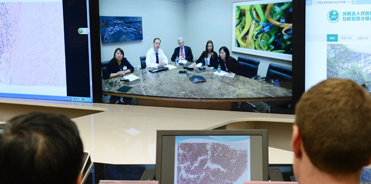 红杉通视频会议系统为江阴卫生局实现远程多媒体视频会议